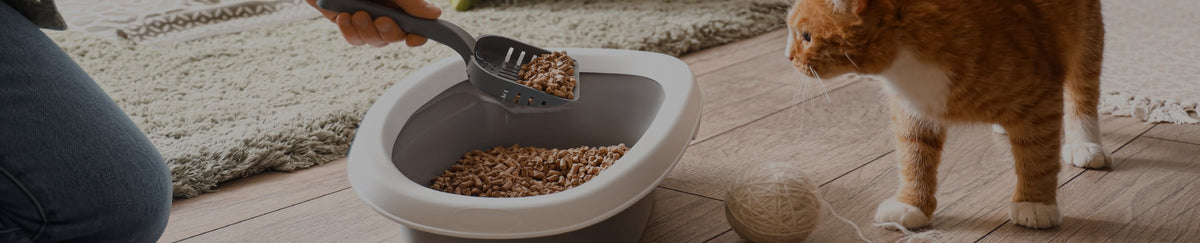 Litière pour chat