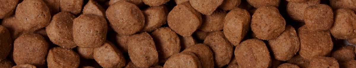 Croquettes pour chien