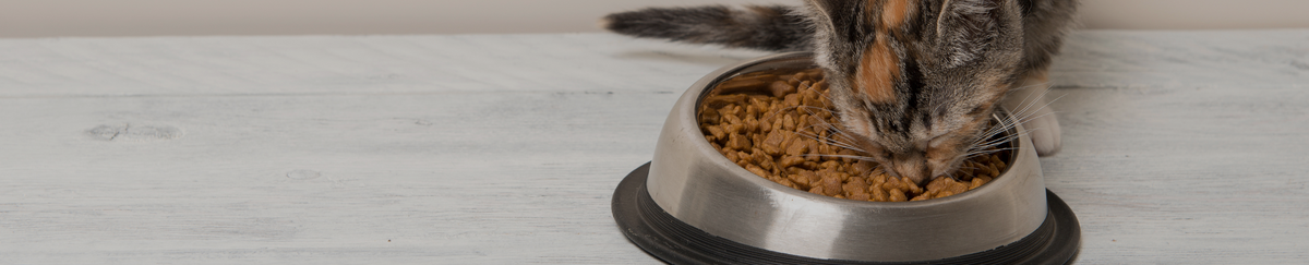Croquettes chat Virbac