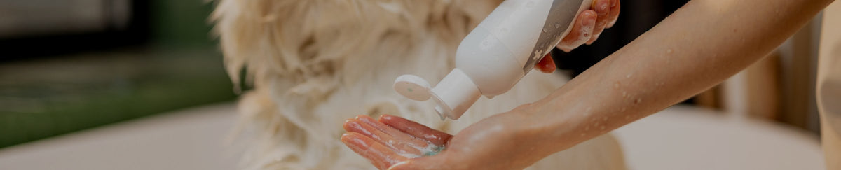 Shampoing pour chien