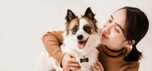 Chien