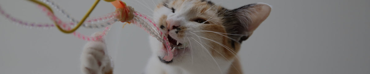 Balles & culbutos pour chat