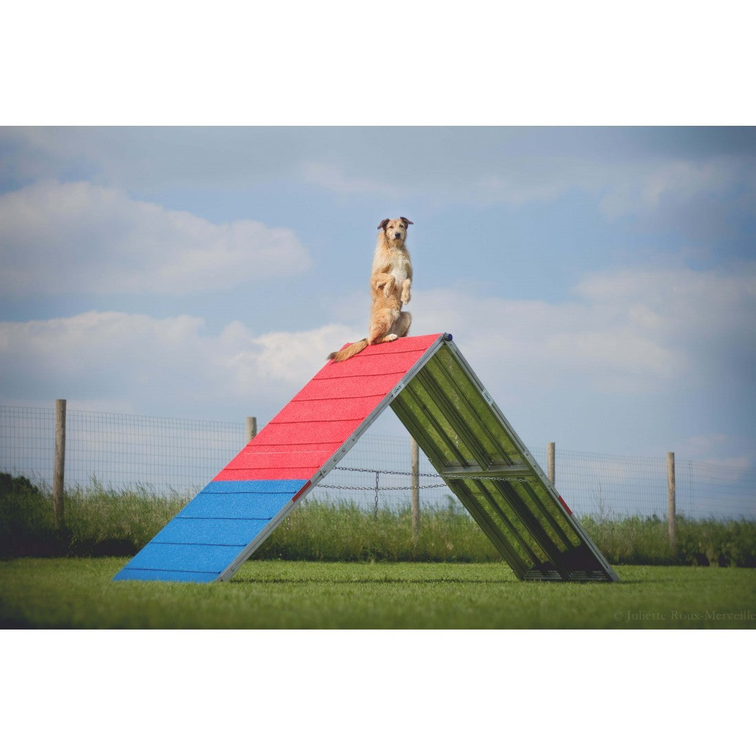 Parcours complet Agility Run -