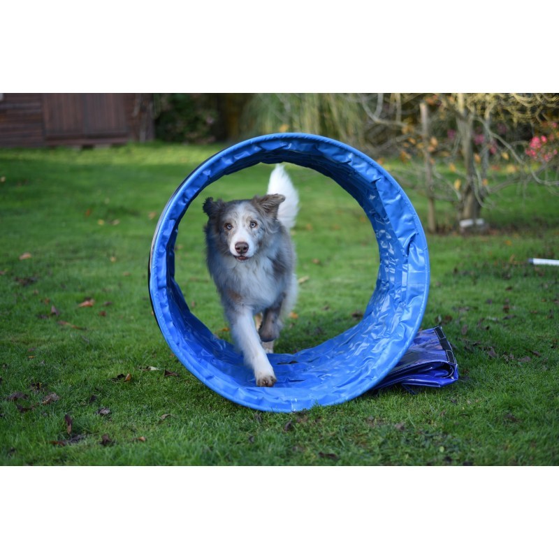 Parcours complet Agility Run -