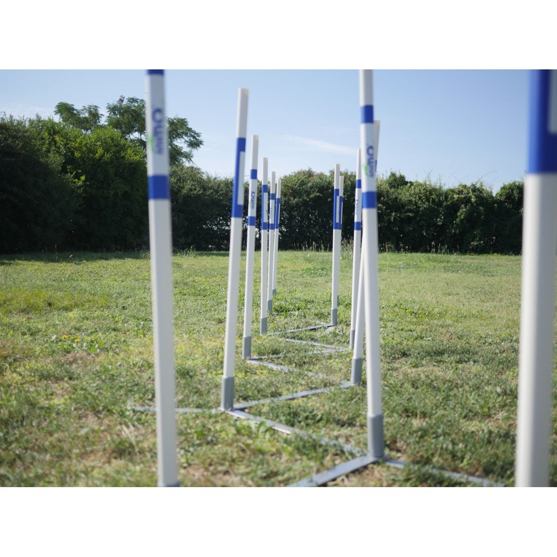 Parcours complet Agility Run -