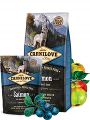 Carnilove Saumon croquettes pour chien