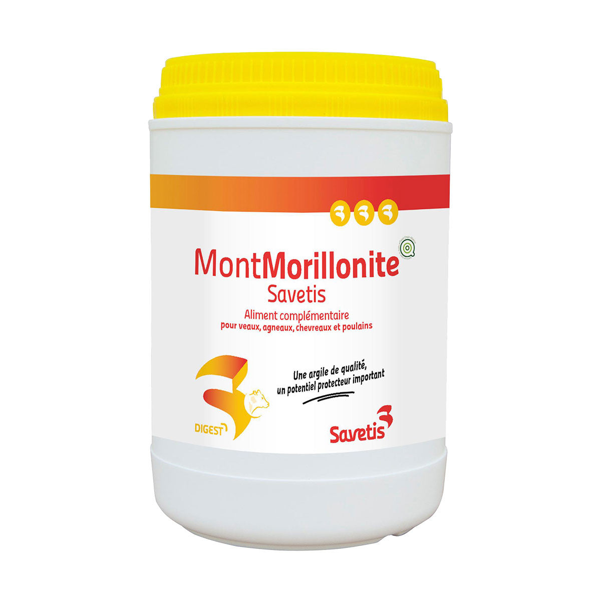 Montmorillonite Chat