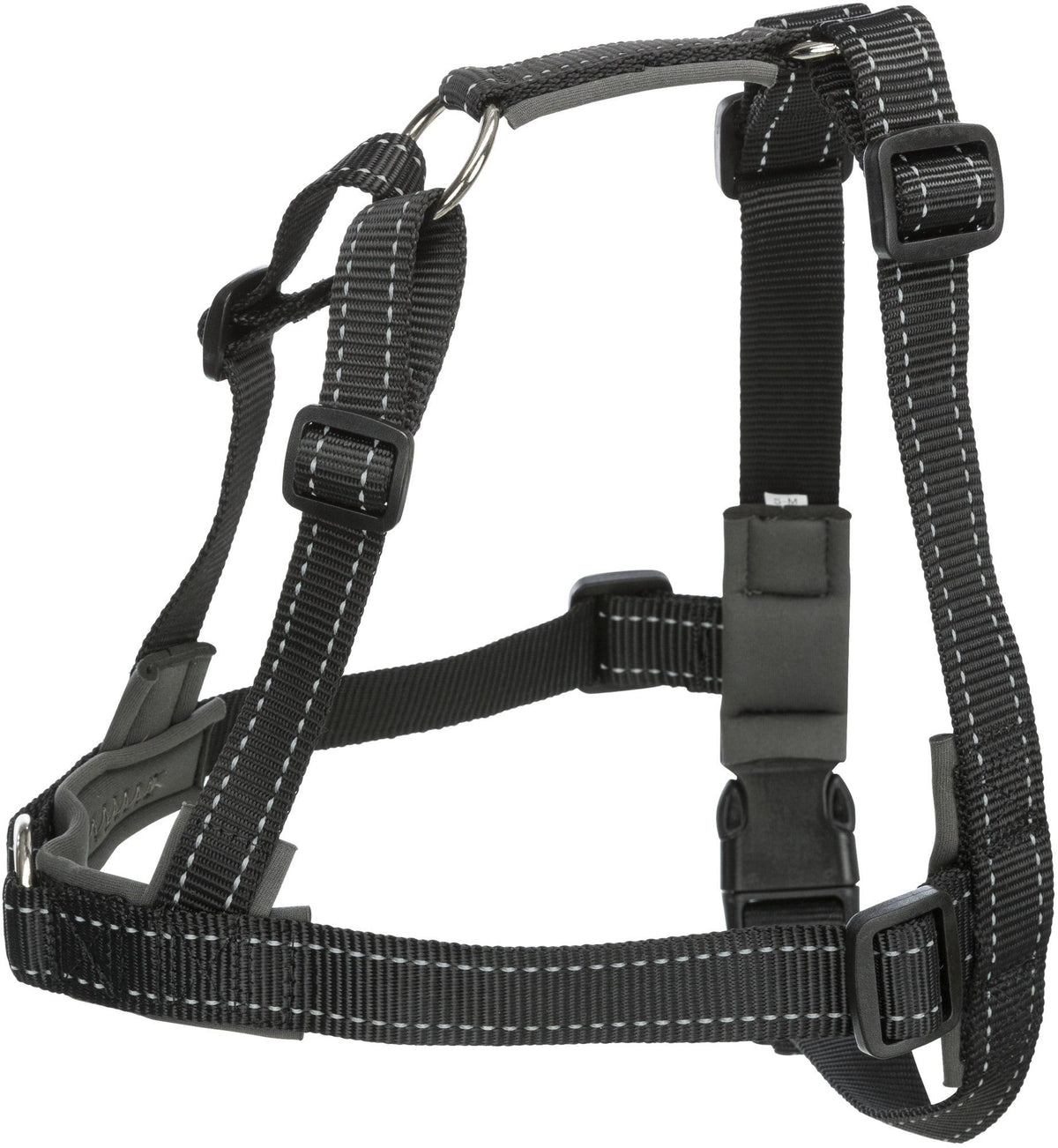 Harnais de dressage Lead and Walk Basic