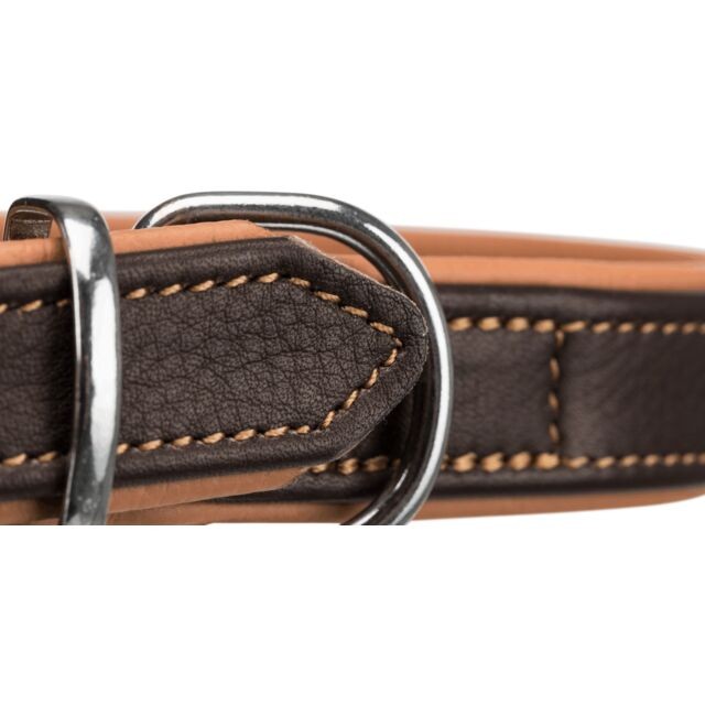 Active collier pour chien Comfort en cuir
