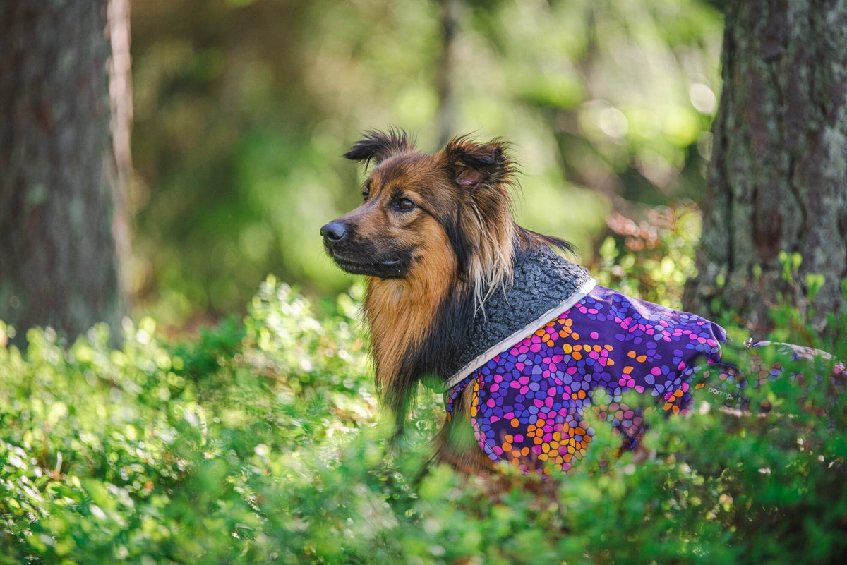 Pomppa Toppa manteau impermeable doublé pour chien Moyen