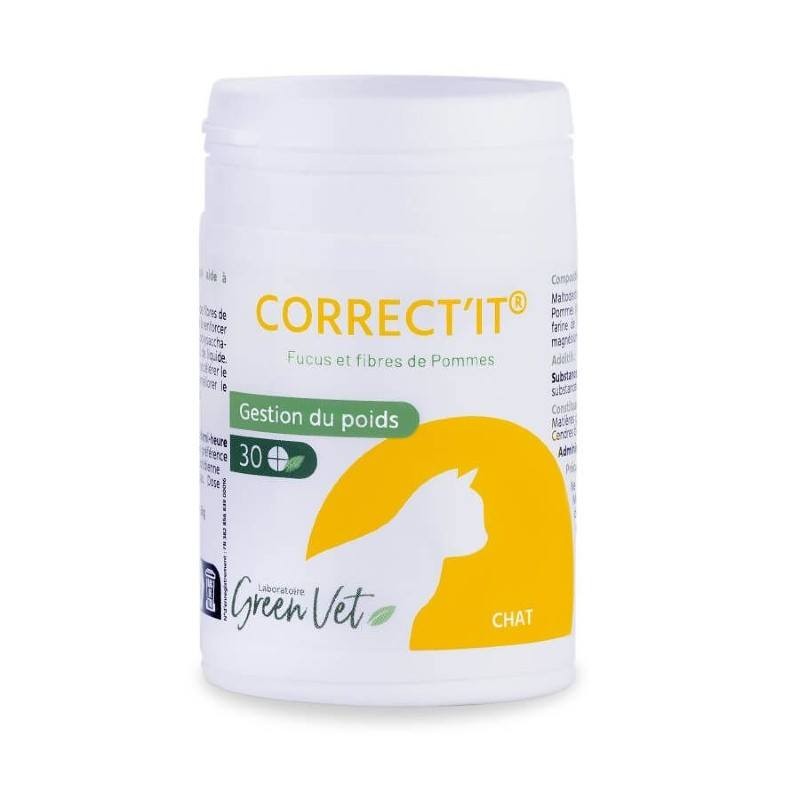 Correct'it Chat