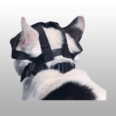 MUSELIERE NYLON/CHAT
