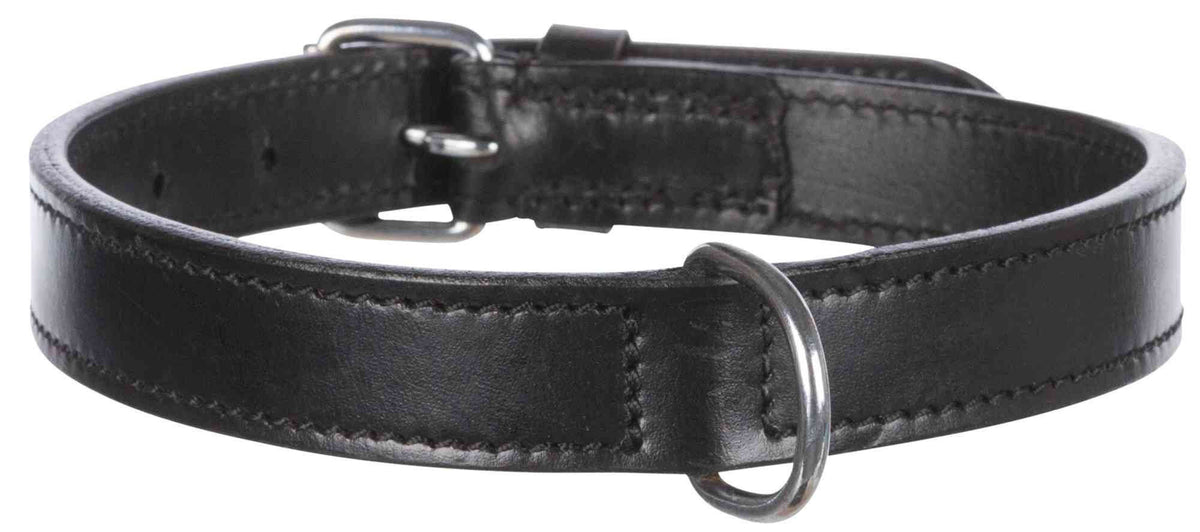 Collier en cuir pour chien Active