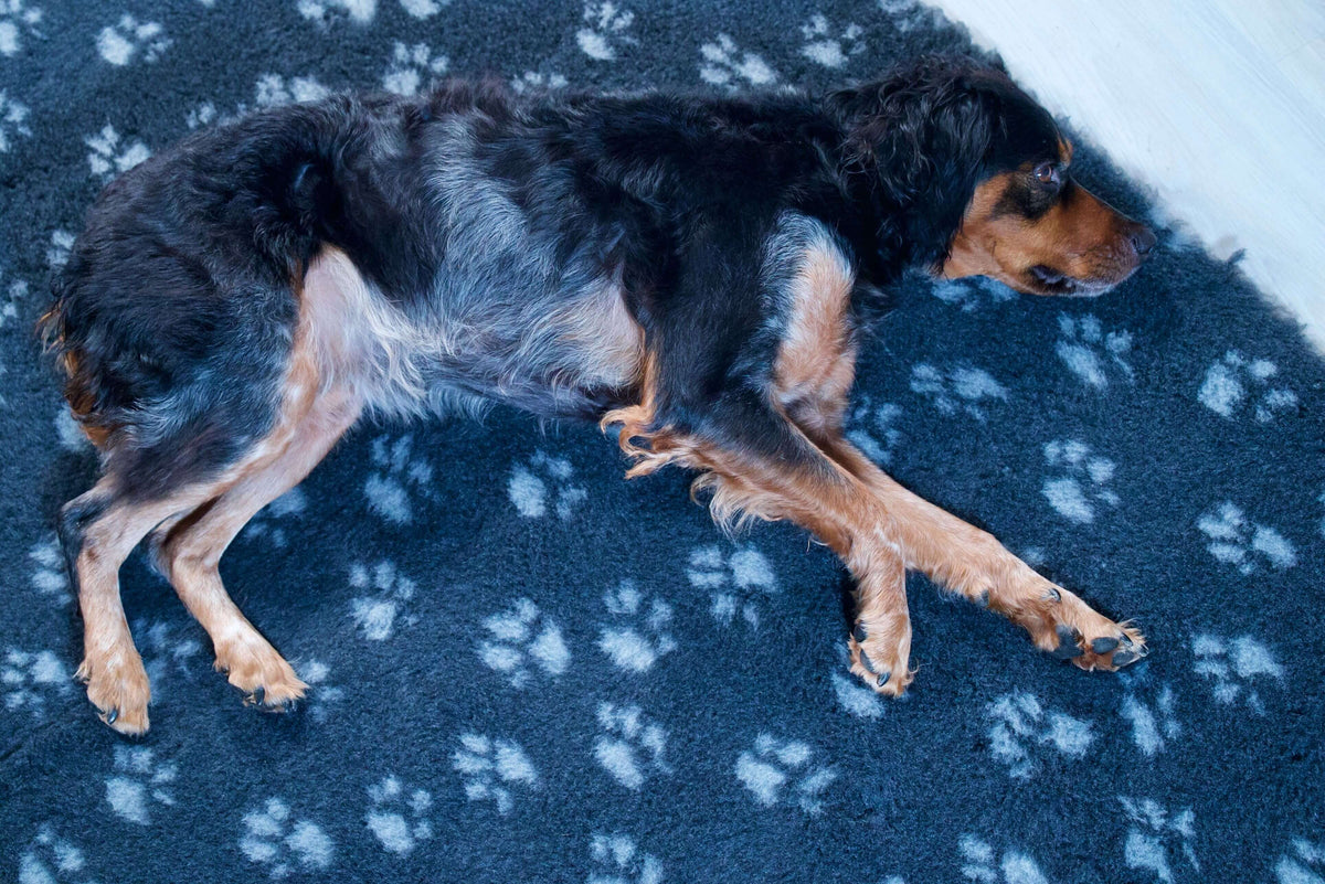 Tapis type Vetbed Petbed
