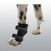 ATTELLE REEDUC.CARPE CHIEN L