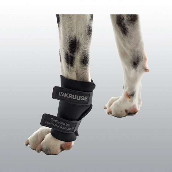 ATTELLE REEDUC.CARPE CHIEN M