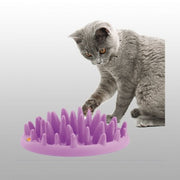 GAMELLE ANTI GLOUTON CHAT