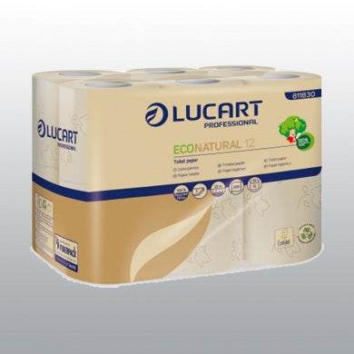 PAPIER TOILETTE X12 ROU.ECOLABEL