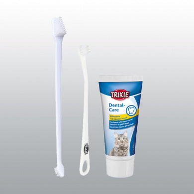 BROSSE A DENTS CHATX2+DENTIFRICE