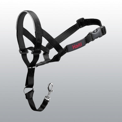 COLLIER HALTI NOIR T2