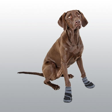 CHAUSSURES CHIEN ACTIVE L X2