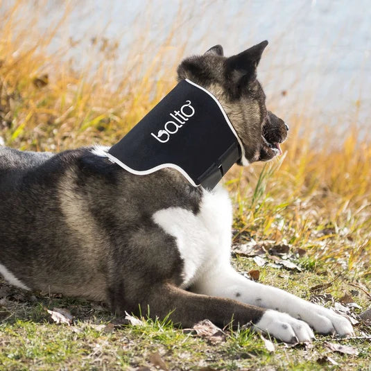 MINERVE BALTO ECO XS