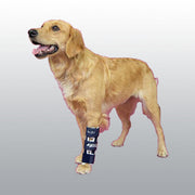 ATTELLE BALTO RADIUS M
