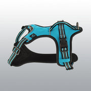 HARNAIS DYNAMIC BLEU S