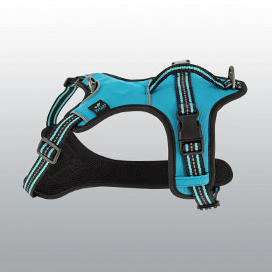 HARNAIS DYNAMIC BLEU S