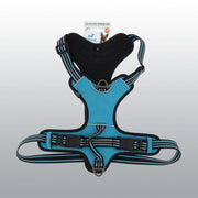 HARNAIS DYNAMIC BLEU L
