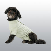 BODY CHIEN STEP'N GO GREEN XL