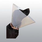 CARCAN SNAP N GO 15CM X10