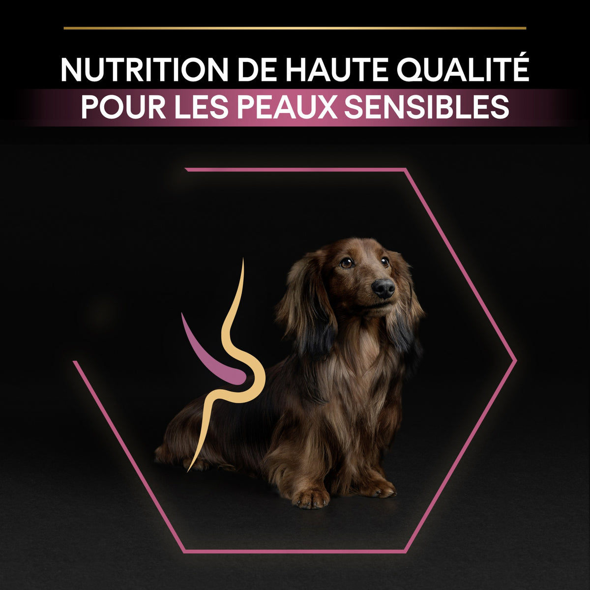 PRO PLAN Sensitive Skin Small & Mini Adult au Saumon - Croquettes pour chien