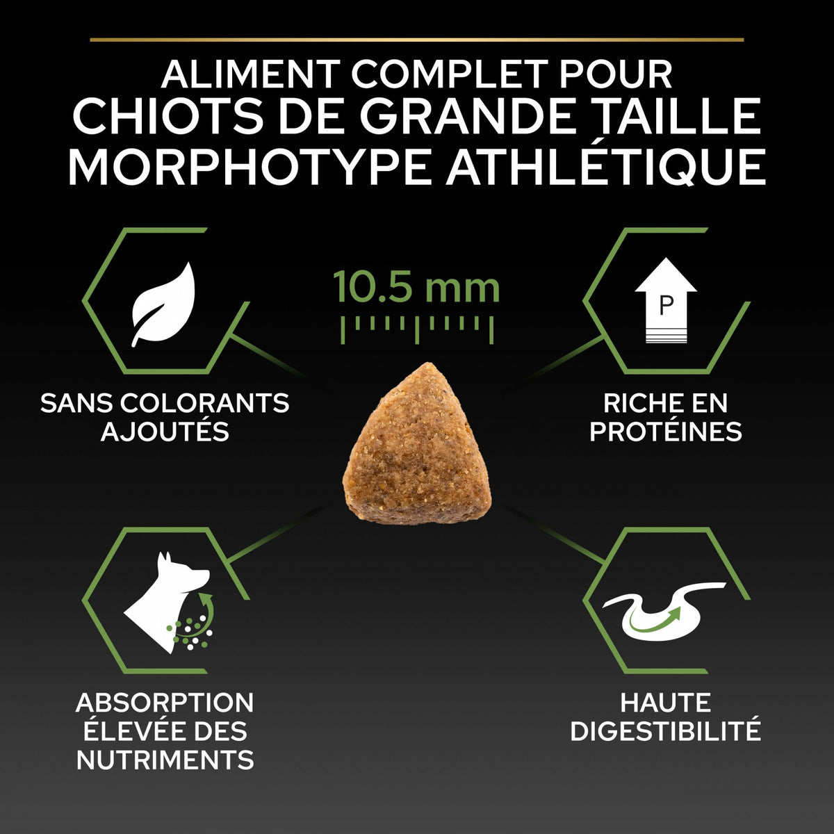 PRO PLAN Healthy Start Large Athletic Puppy au Poulet - Croquettes pour chien
