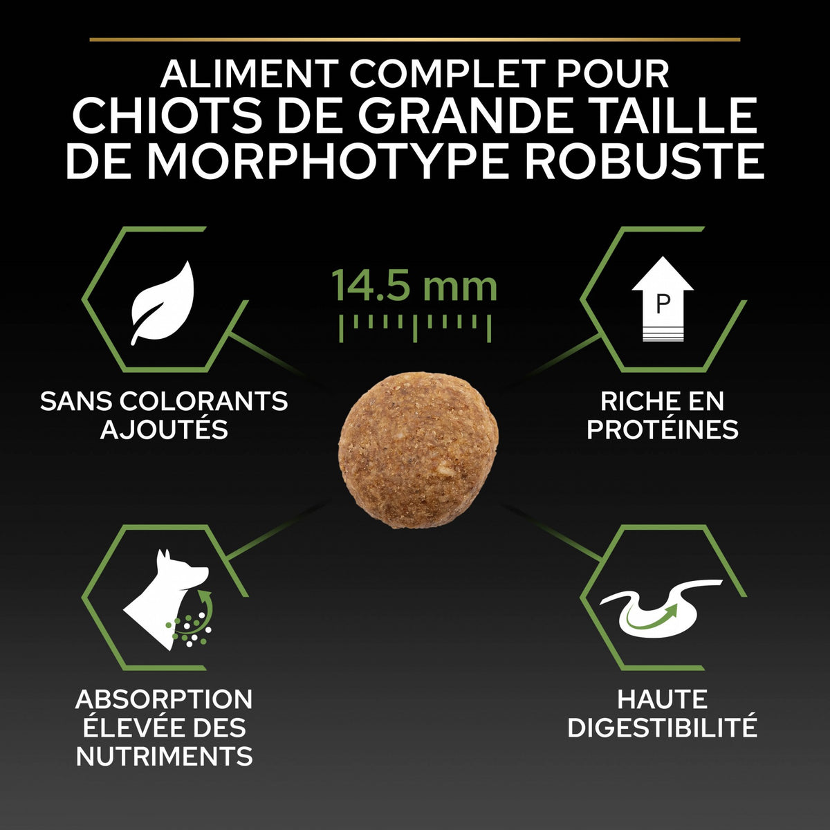 PRO PLAN Healthy Start Large Robust Puppy au Poulet - Croquettes pour chien
