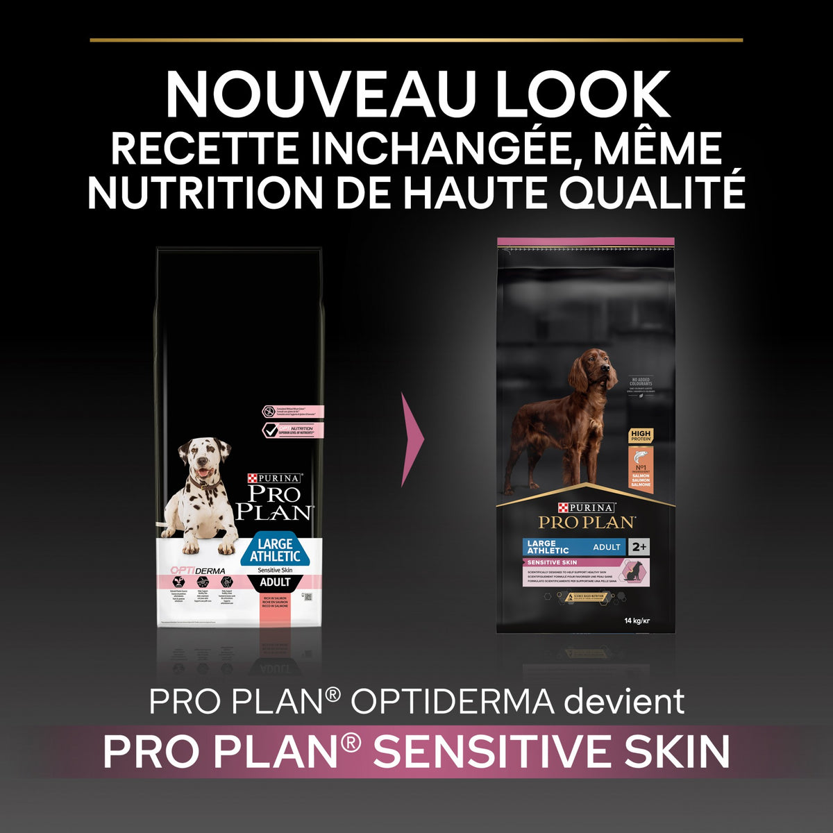 PRO PLAN Sensitive Skin Large Athletic Adult au Saumon - Croquettes pour chien