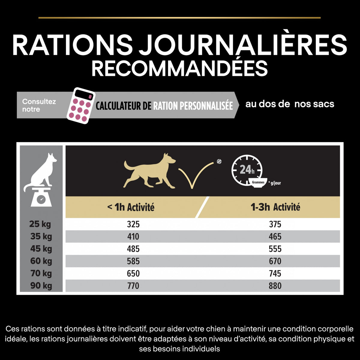 PRO PLAN Sensitive Skin Large Robust Adult au Saumon - Croquettes pour chien