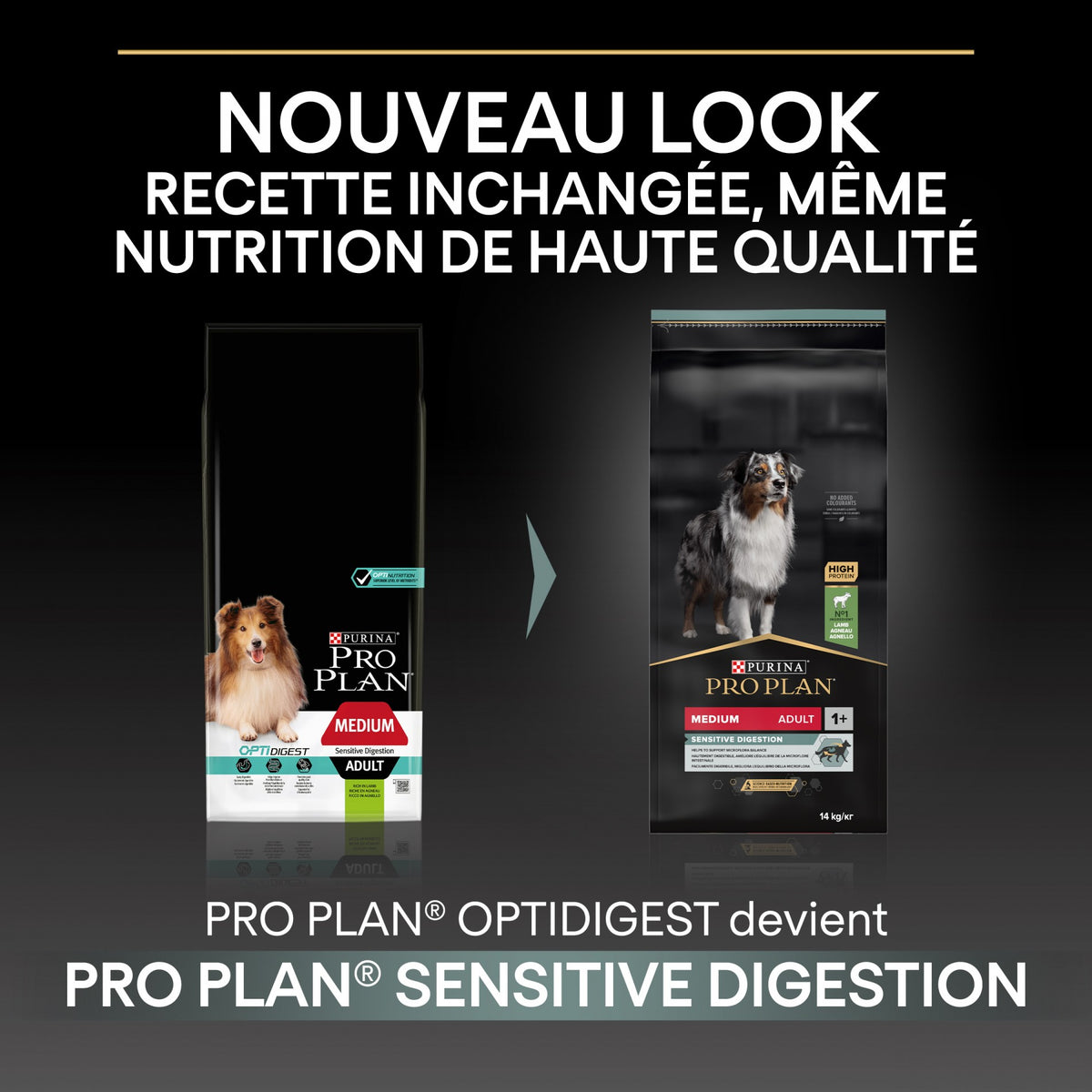PRO PLAN Sensitive Digestion Medium Adult à l'Agneau - Croquettes pour chien