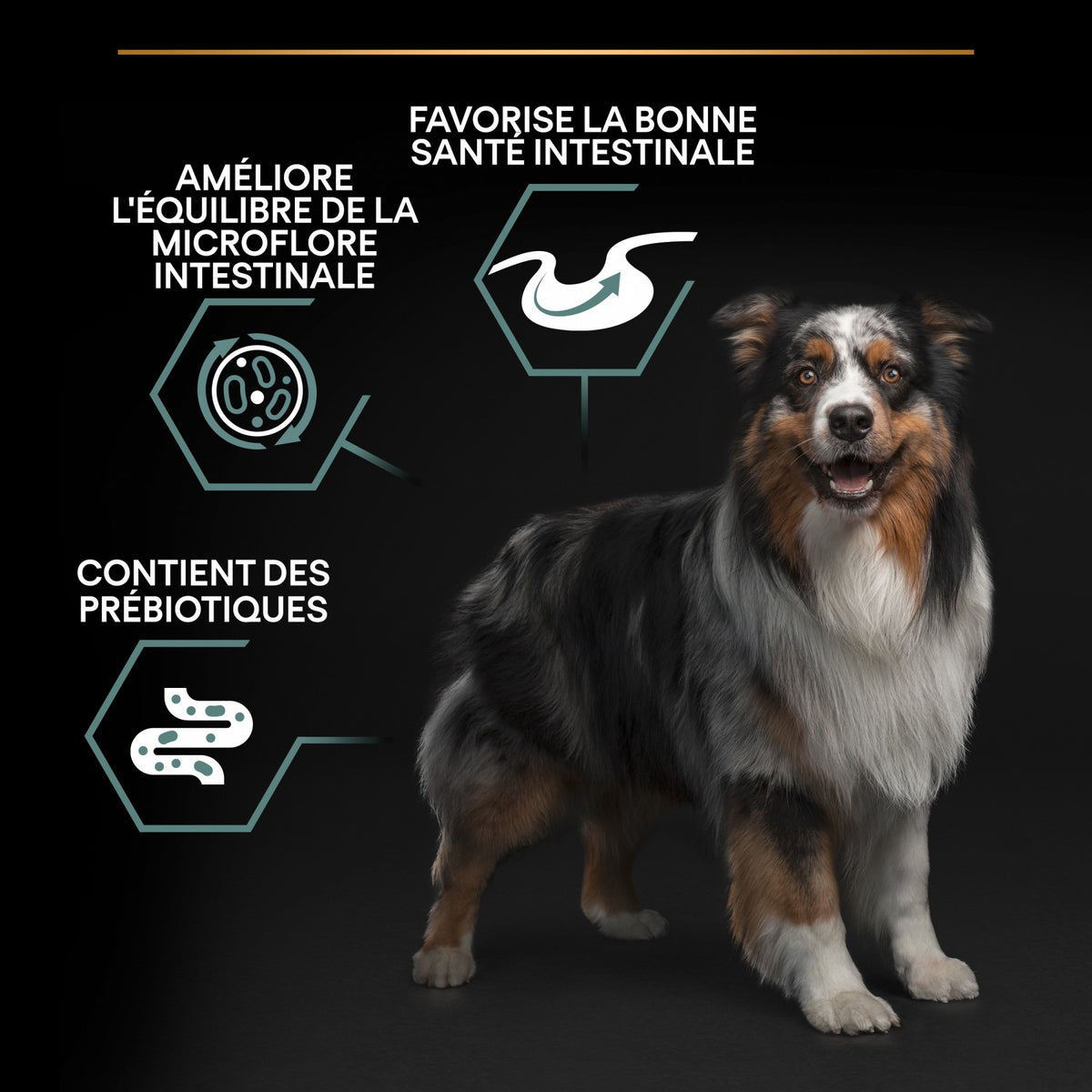 PRO PLAN Sensitive Digestion Medium Adult à l'Agneau - Croquettes pour chien