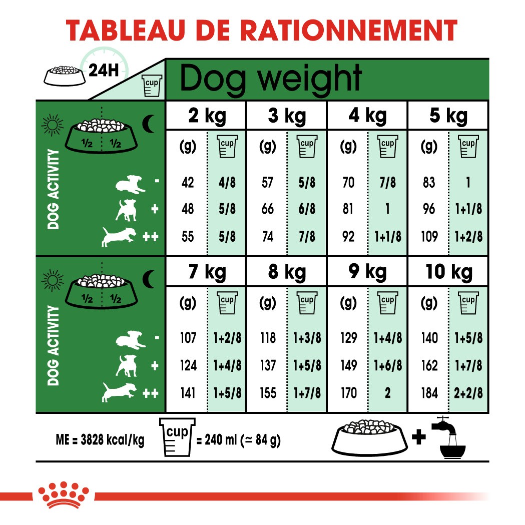 Royal Canin Mini Ageing 12+  - Croquettes pour chien