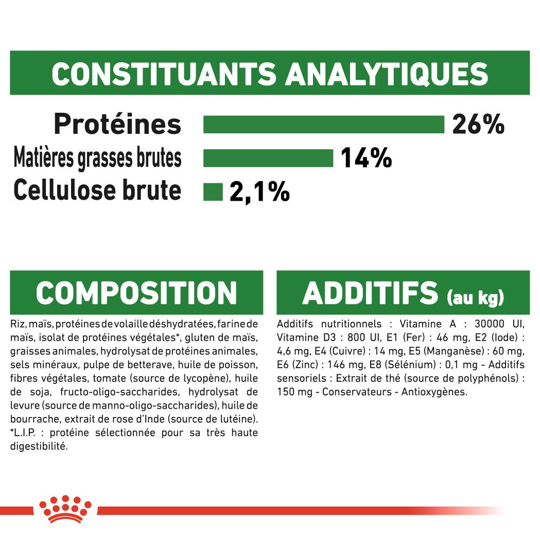 Royal Canin Mini Ageing 12+  - Croquettes pour chien