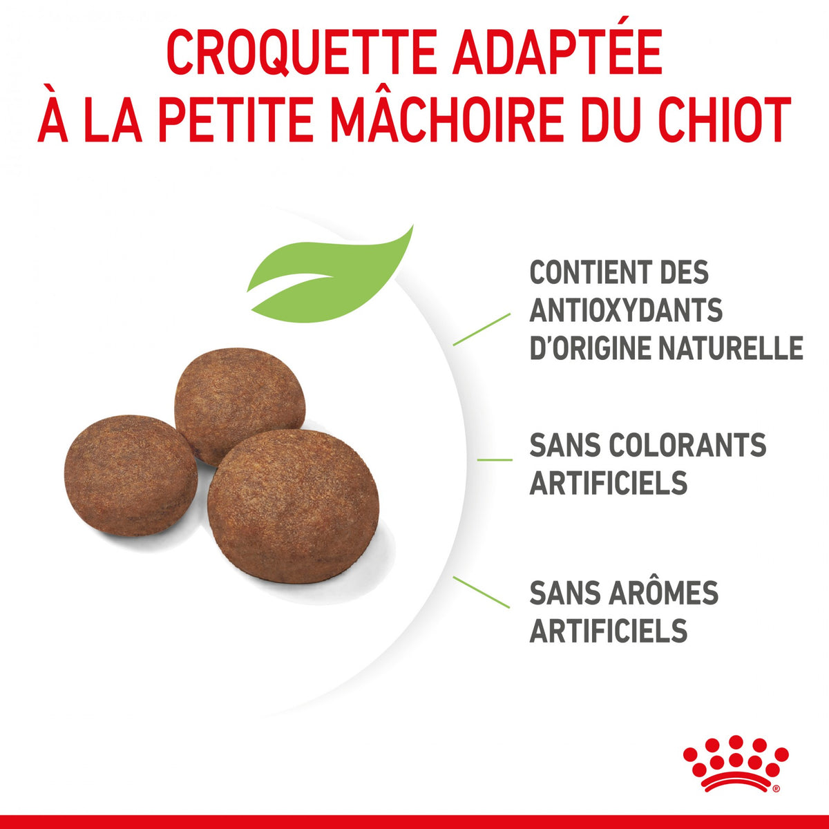 Royal Canin Medium Puppy - Croquettes pour chiot
