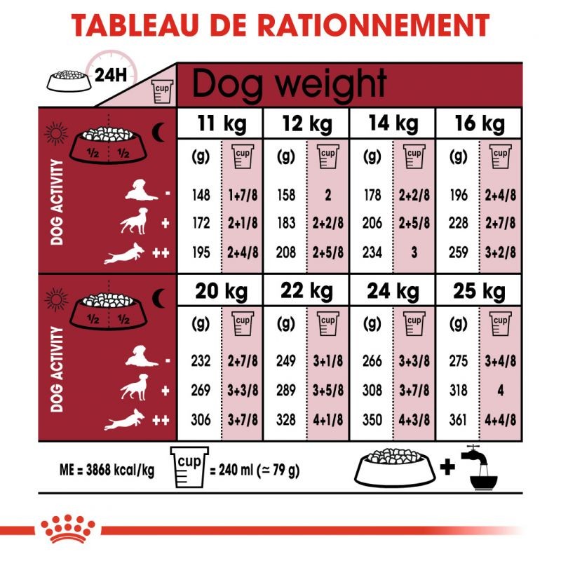 Royal Canin Medium Ageing 10+