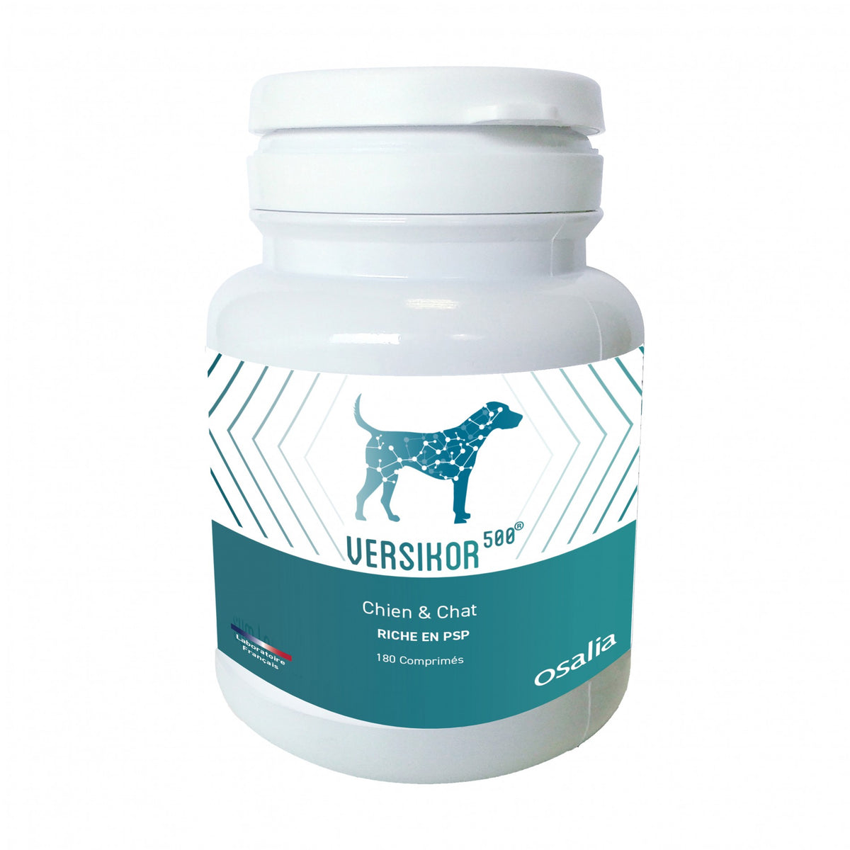 Versikor 500®