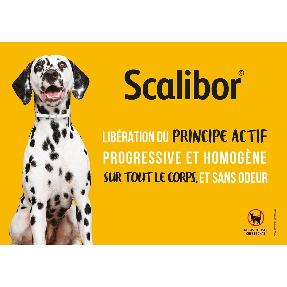 Collier Scalibor chien