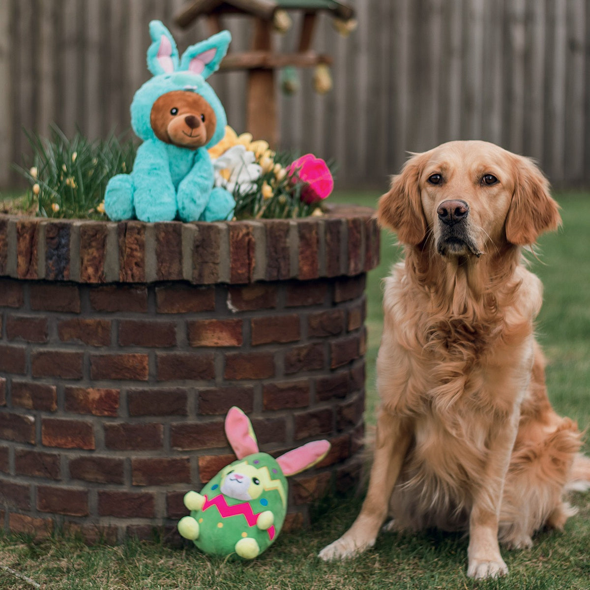 Ours Bunny Barry