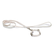 Collier et laisse Welcome