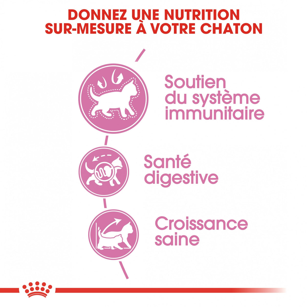 Royal Canin Kitten Second Age