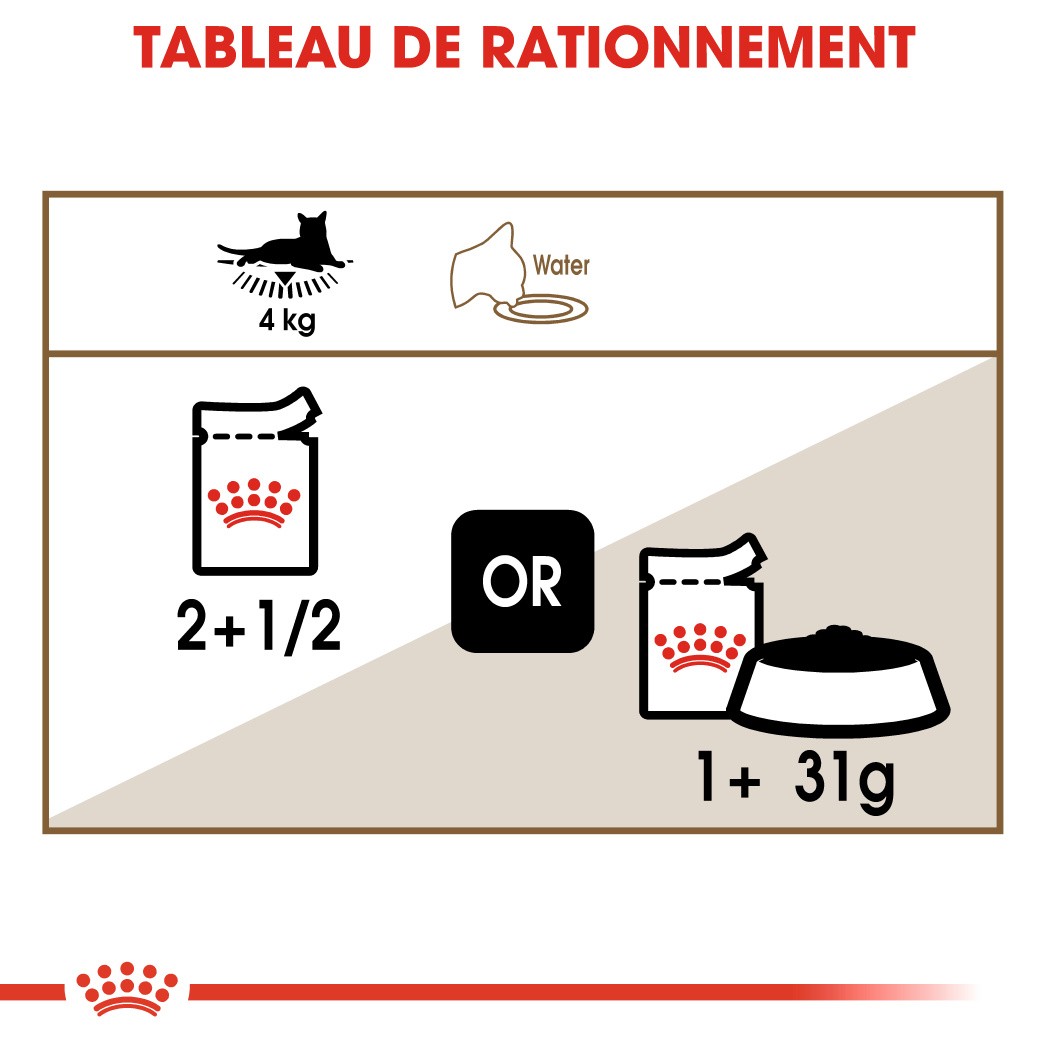 Royal Canin Ageing 12+