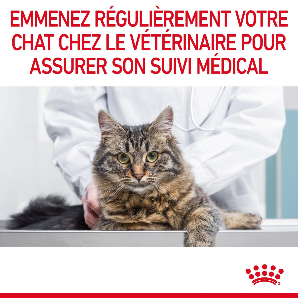 Royal Canin Digest Sensitive